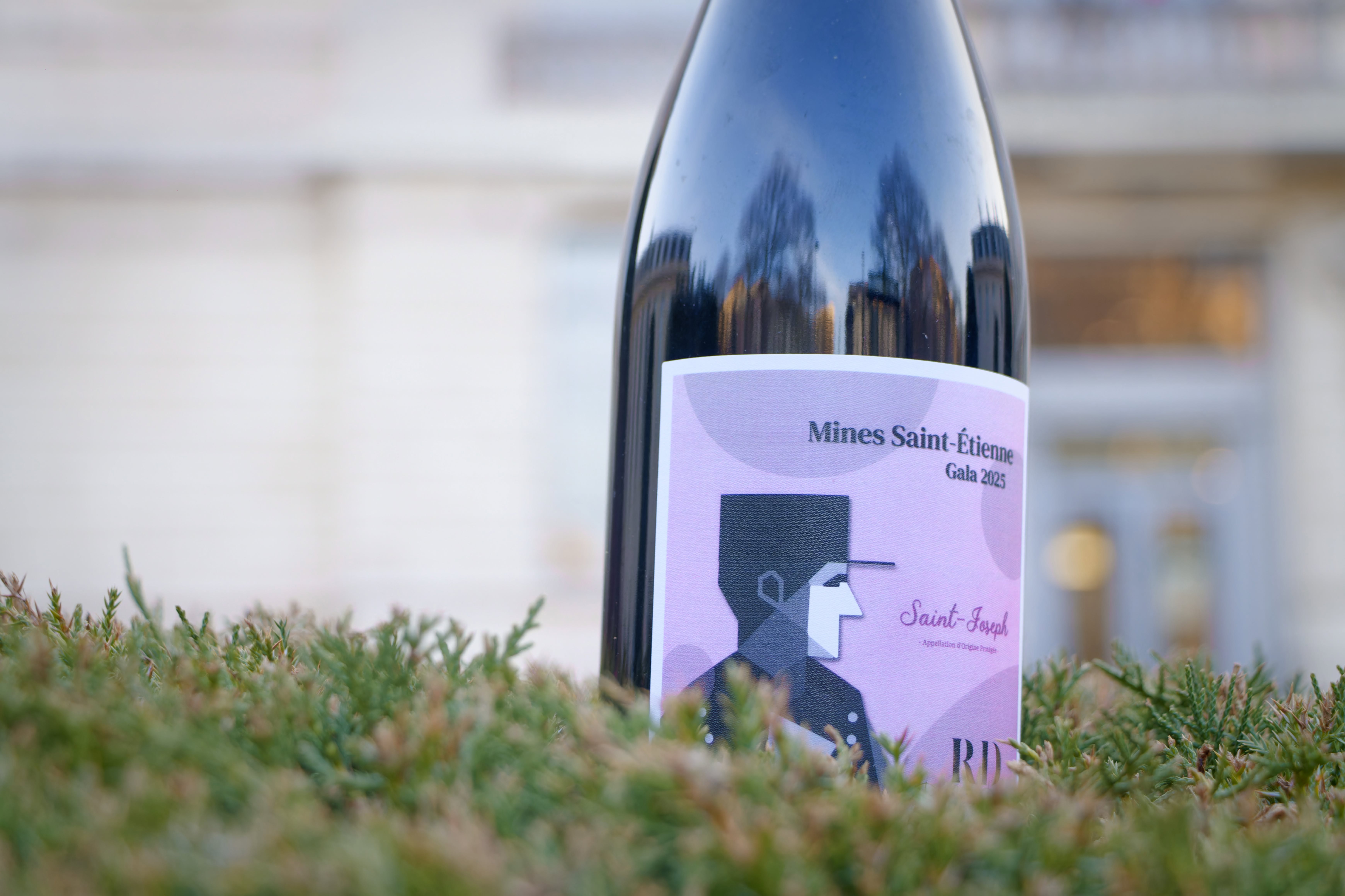 Packaging & branding